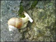 Uživatelský avatar